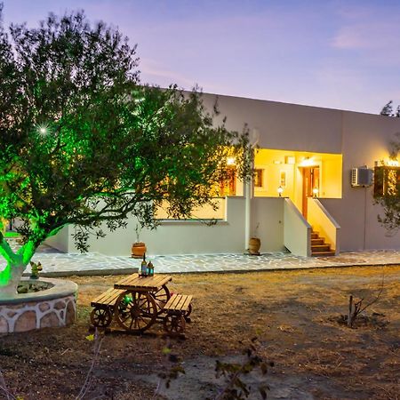 Olive Studios Karpathos Studio #4 Εξωτερικό φωτογραφία
