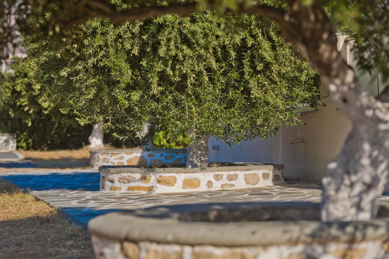 Olive Studios Karpathos Studio #4 Εξωτερικό φωτογραφία