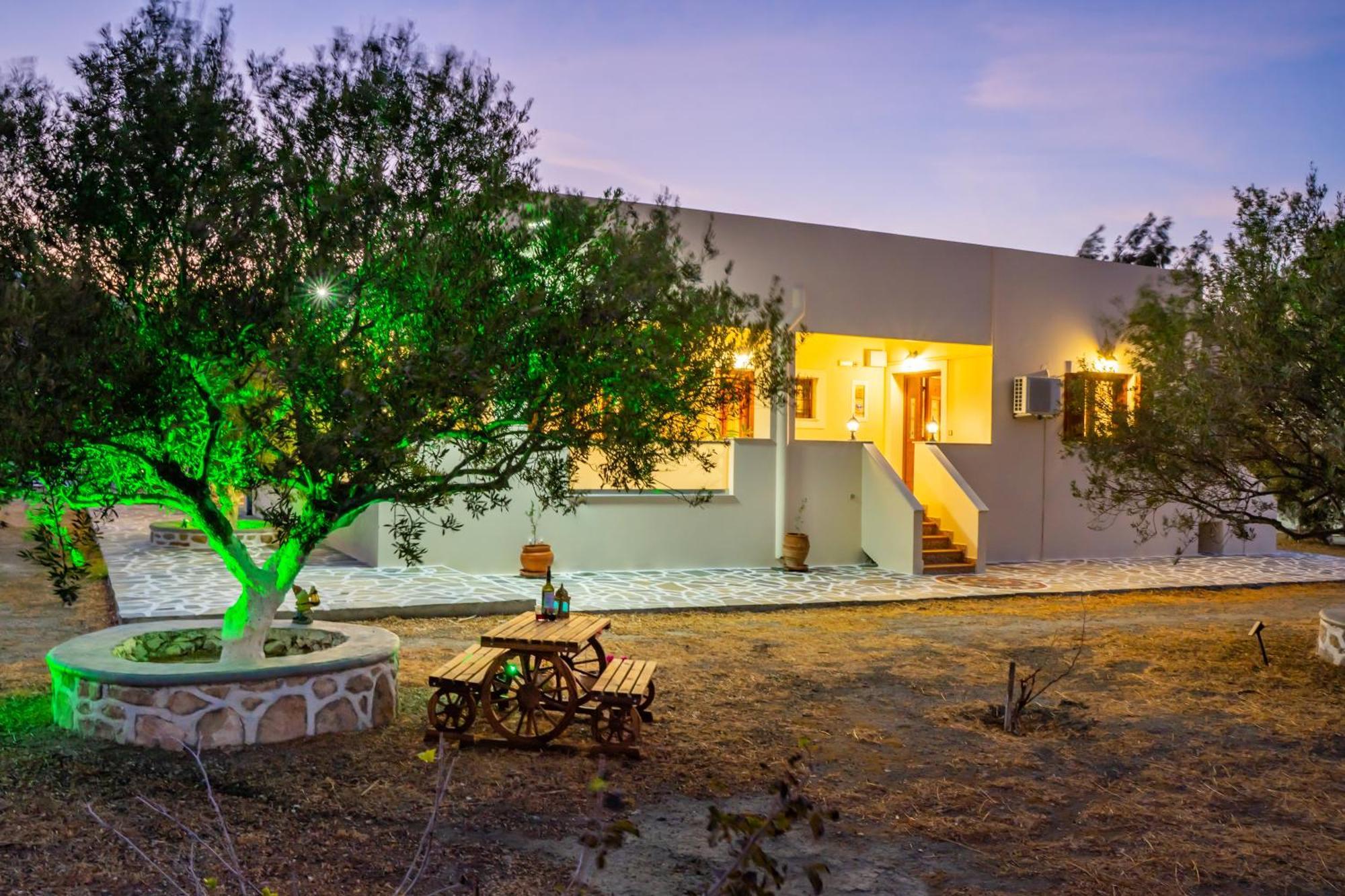 Olive Studios Karpathos Studio #4 Εξωτερικό φωτογραφία
