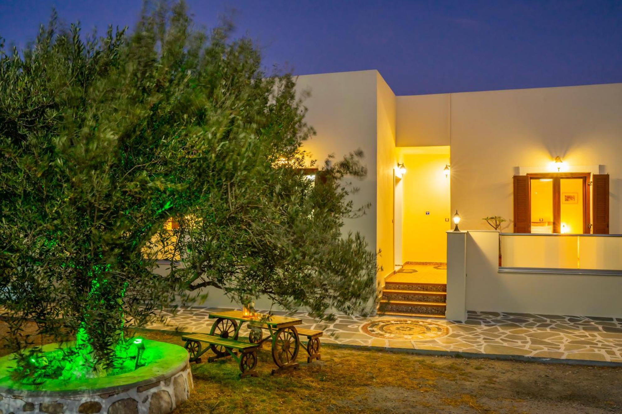 Olive Studios Karpathos Studio #4 Εξωτερικό φωτογραφία