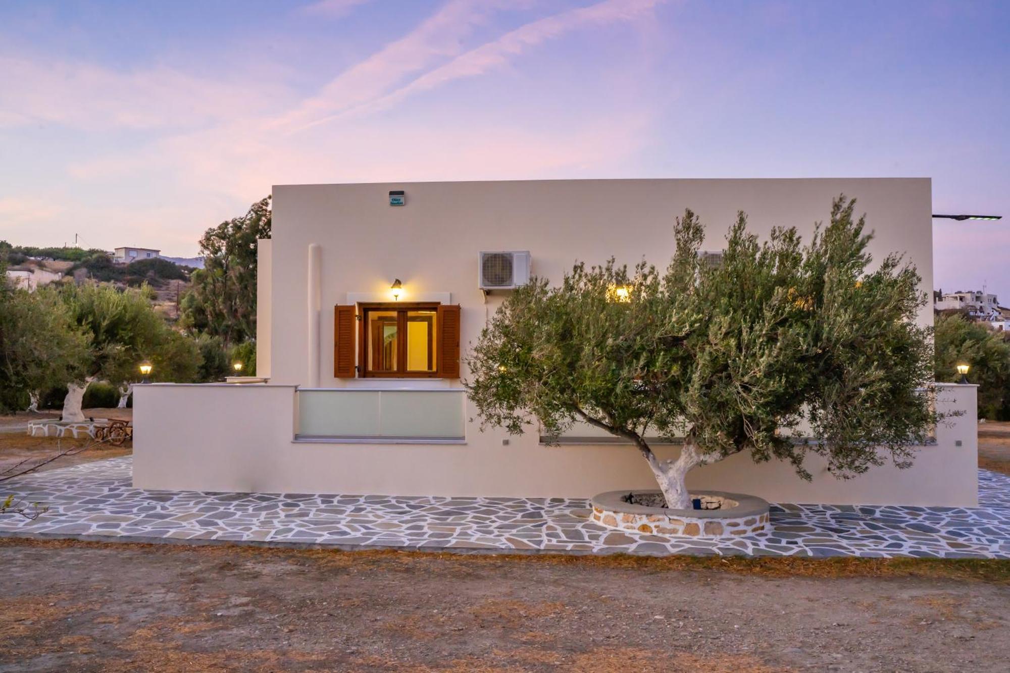 Olive Studios Karpathos Studio #4 Εξωτερικό φωτογραφία