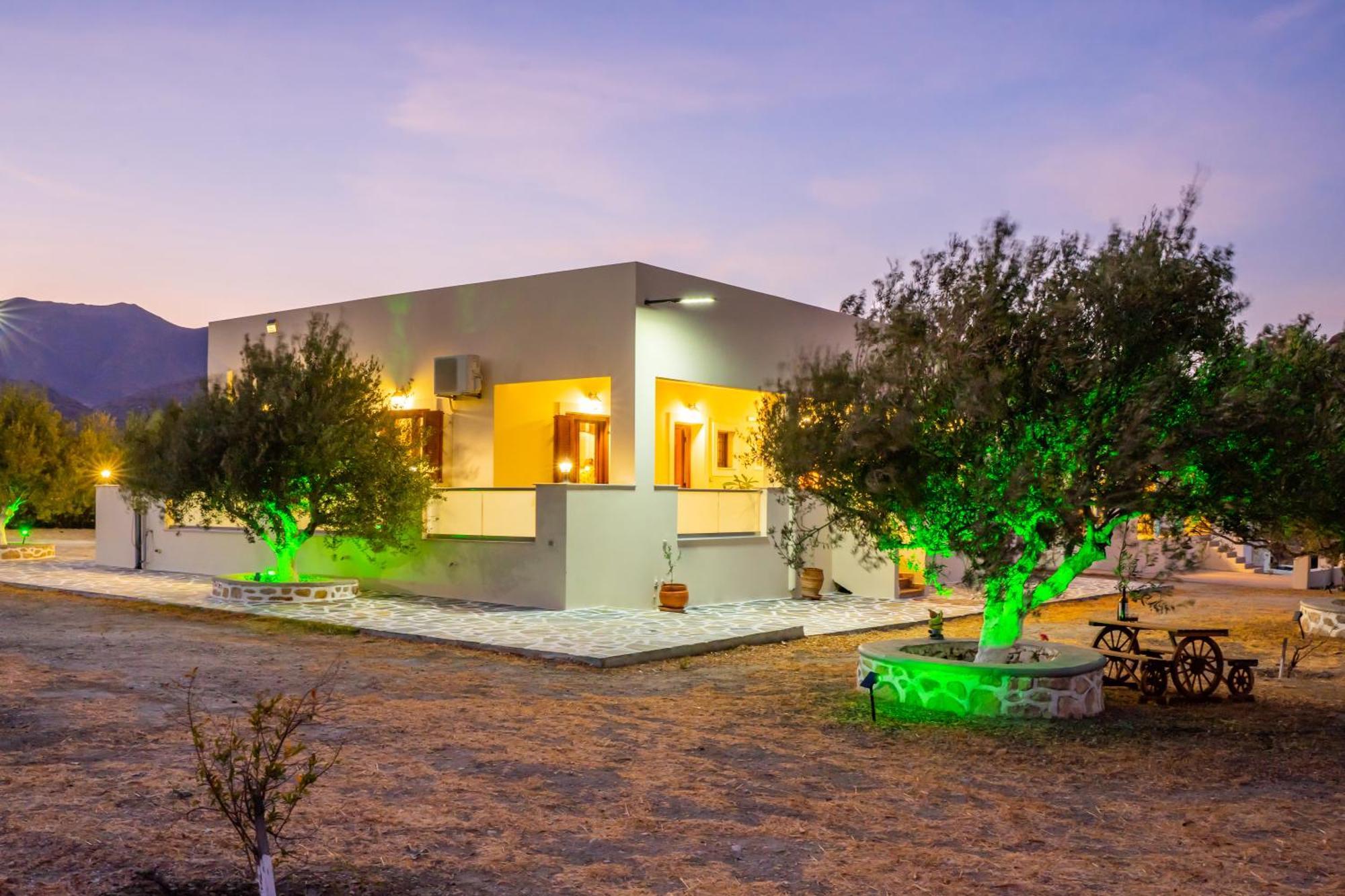 Olive Studios Karpathos Studio #4 Εξωτερικό φωτογραφία