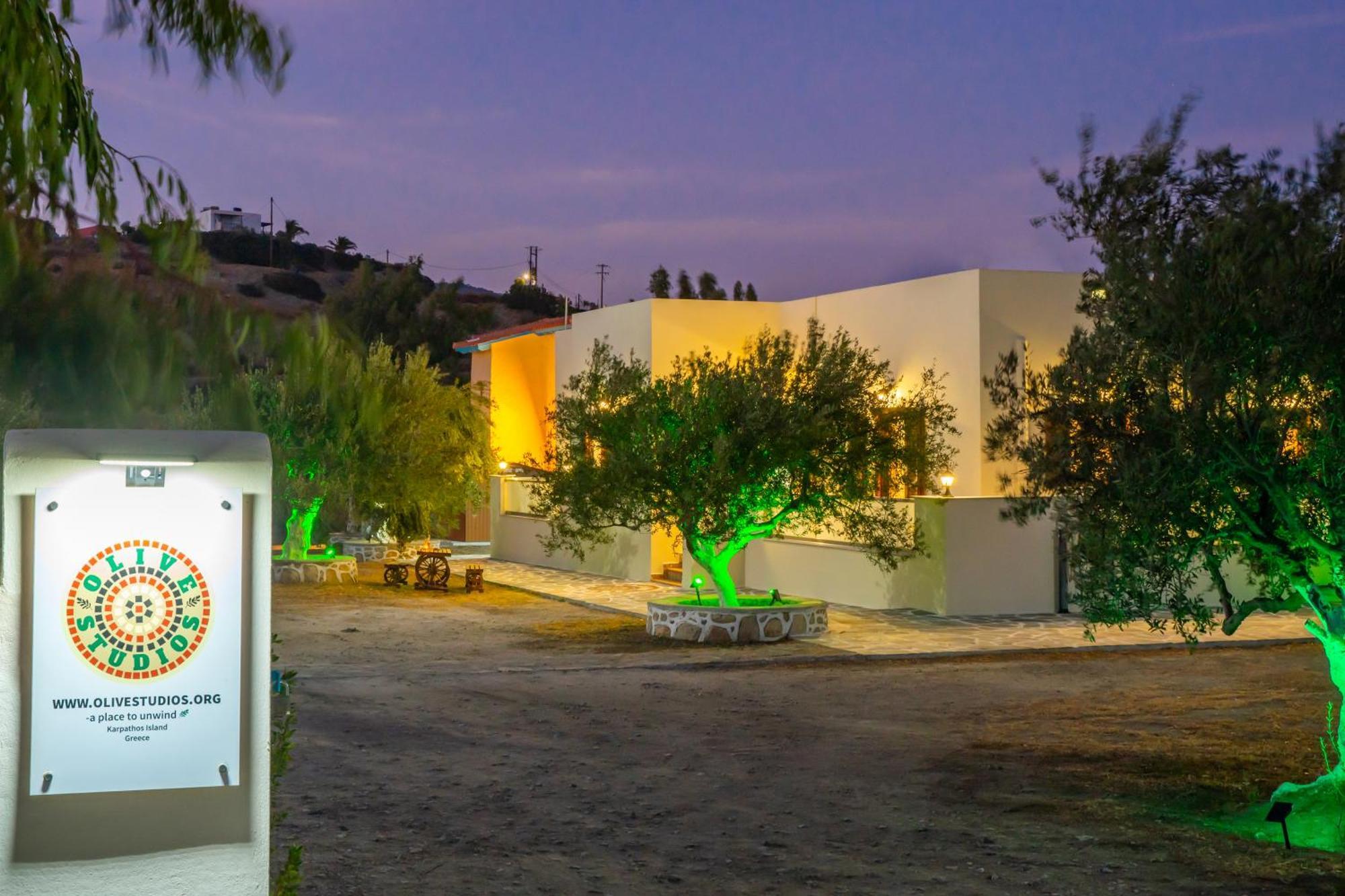 Olive Studios Karpathos Studio #4 Εξωτερικό φωτογραφία
